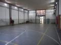 Dall'aglio 2